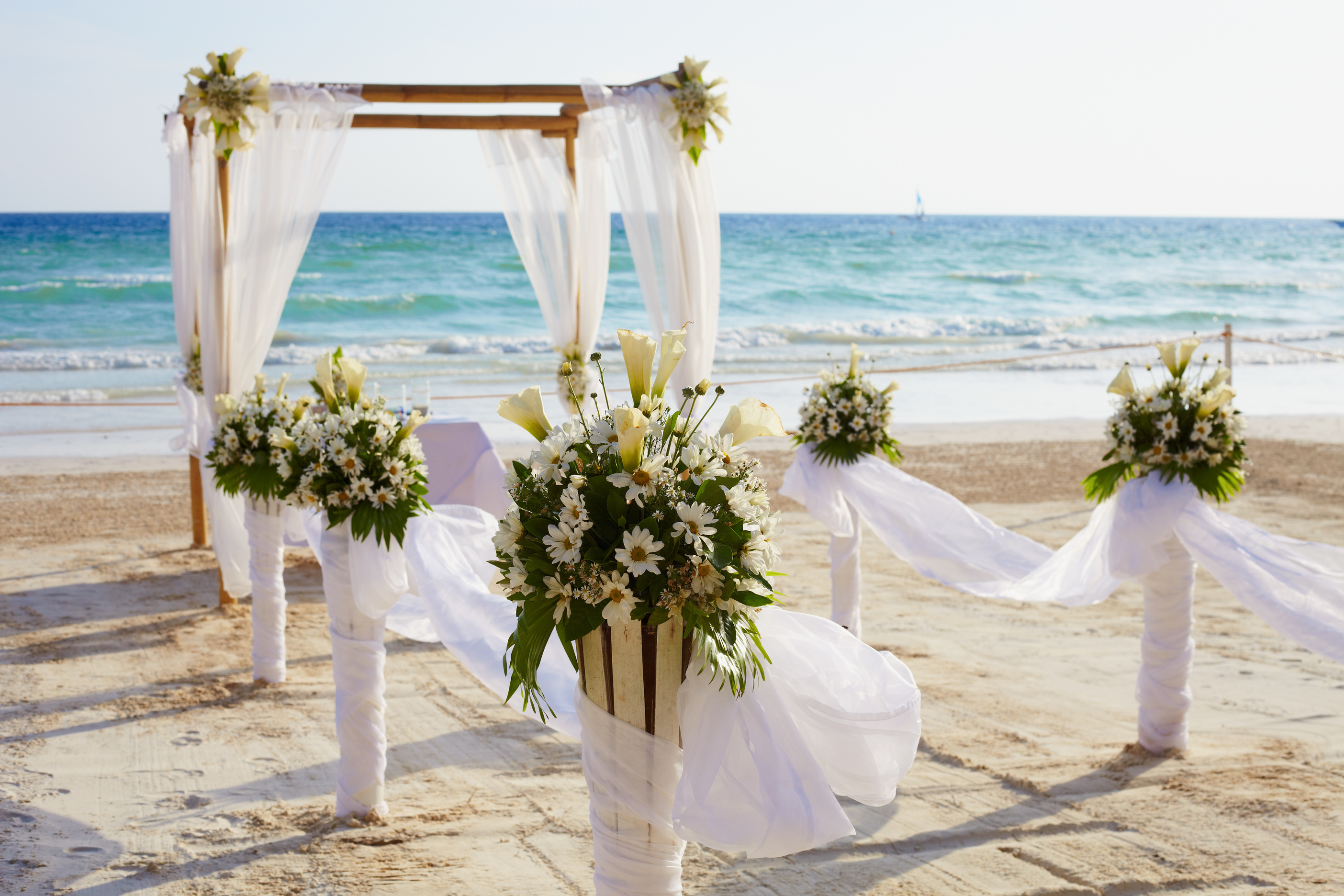 Plan the Perfect Wedding with a Wedding Planner