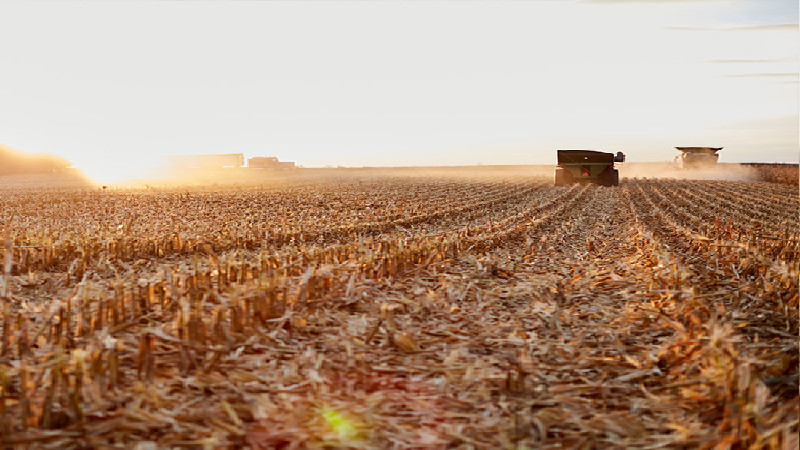 2 Advantages of Utilizing This Particular Brand of Herbicide in WI