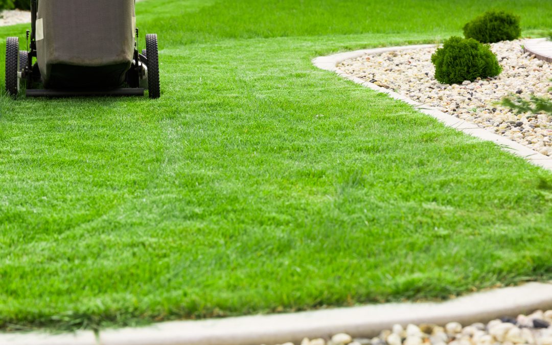 The Complete Guide To Residential Sod Product in Millville, NJ, For Healthier And Greener Lawns